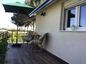 Orange Blossom Luxury House